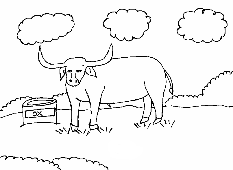 desenho de boi para colorir