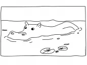 desenho de hipopotamo para colorir