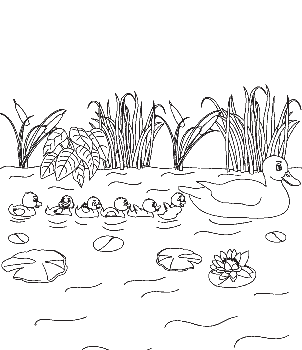 desenhos para colorir do patinho feio