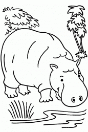 hipopotamo para pintar