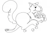 desenho de esquilo para colorir