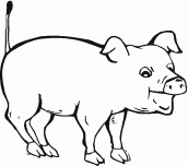 desenho de porco para pintar