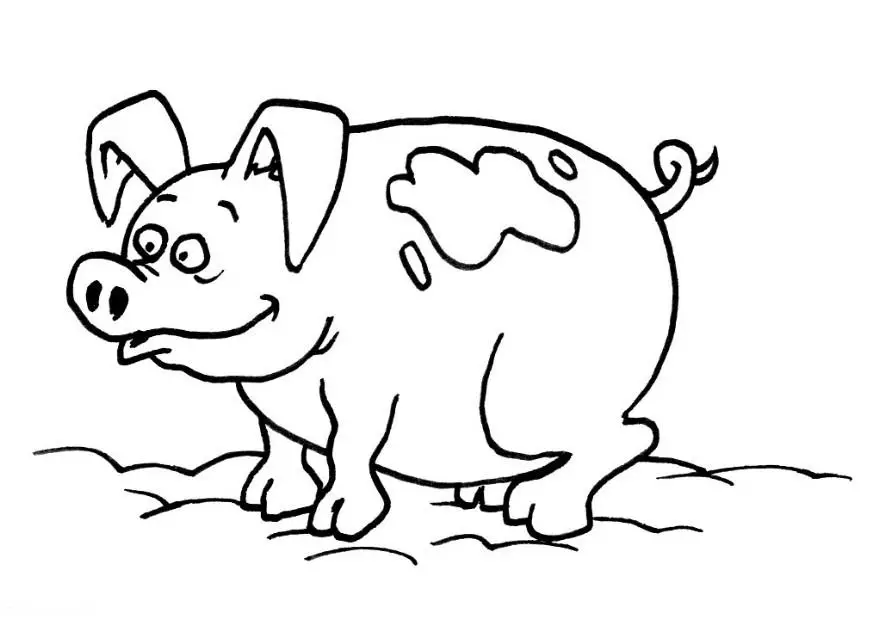desenhos de porco para colorir
