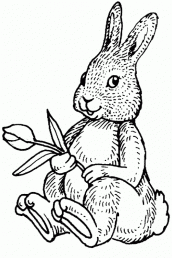 desenhos para colorir coelho da pascoa