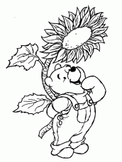 desenhos para colorir do pooh