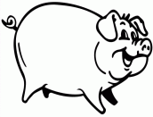 desenhos para colorir porco