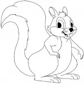 imagem de esquilo para colorir
