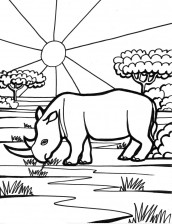 animais de africa para colorir