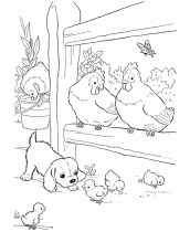 desenhos para colorir animais domesticos