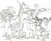 figuras para colorir de animais