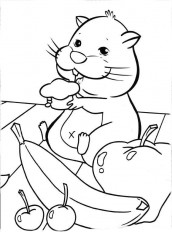 desenhos do zhu zhu pets para imprimir