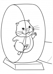 zhu zhu pets desenhos para colorir