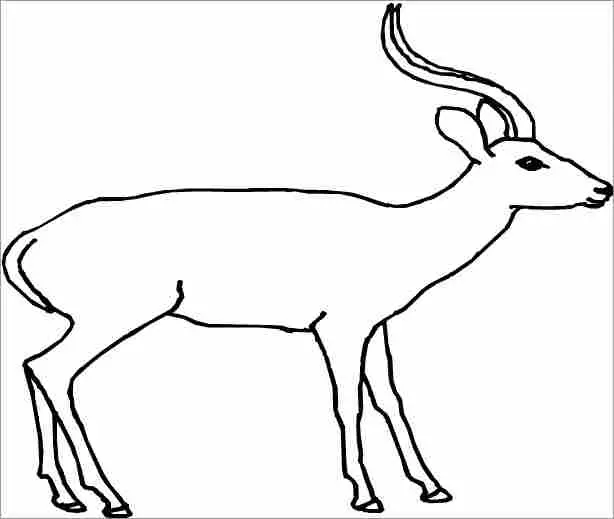 antilope colorir e imprimir