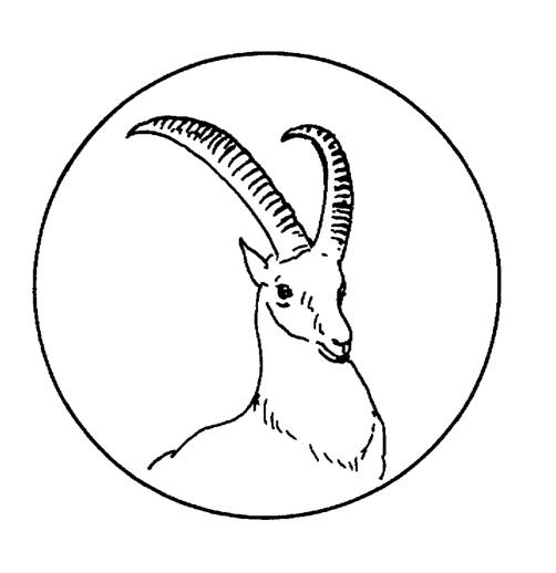 antilope para colorir