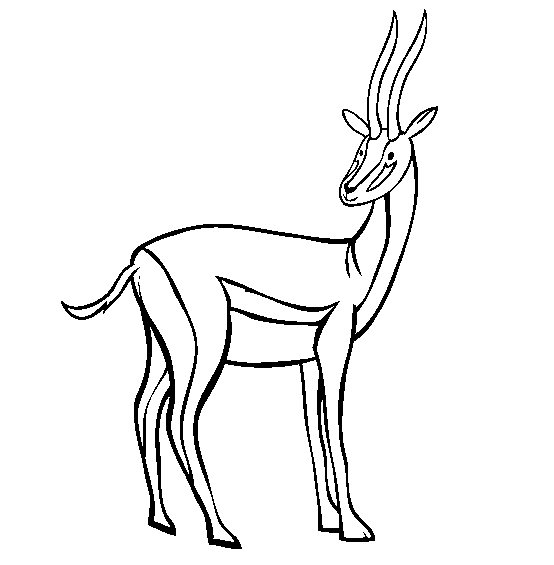 antilope para pintar