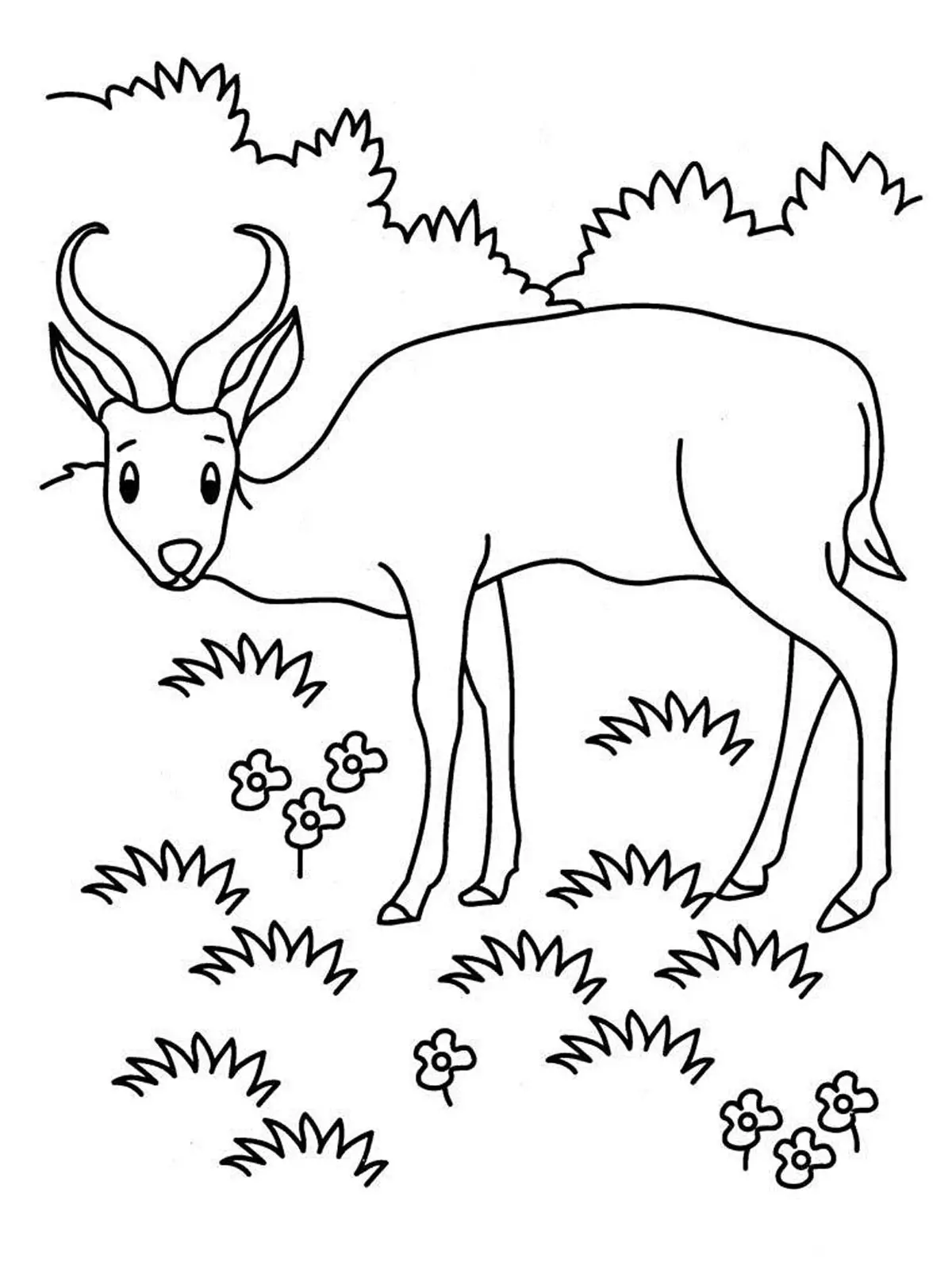 antilopes desenho para pintar
