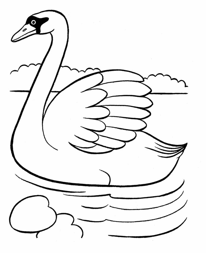 desenho do cisne para colorir