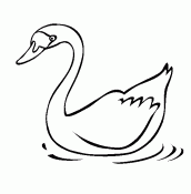 desenho para colorir cisne