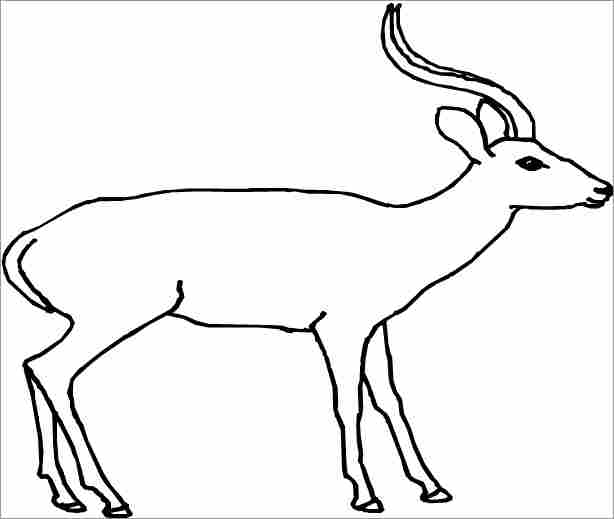 desenhos de antilope para colorir
