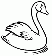 desenhos de cisne para colorir