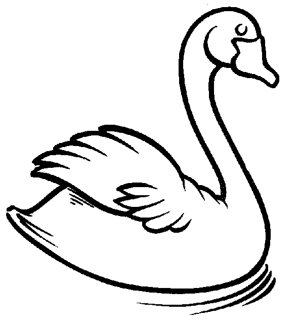desenhos de cisne para colorir