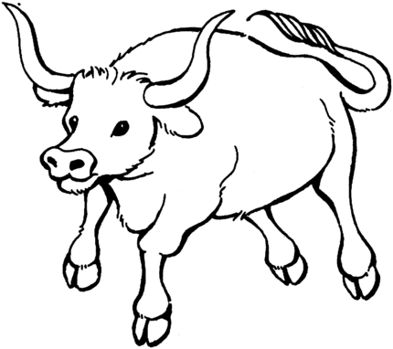 desenhos de touro pulando para colorir