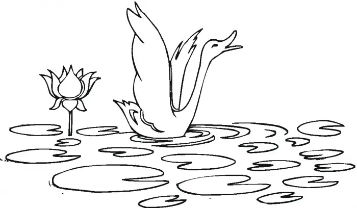 desenhos para colorir de cisne