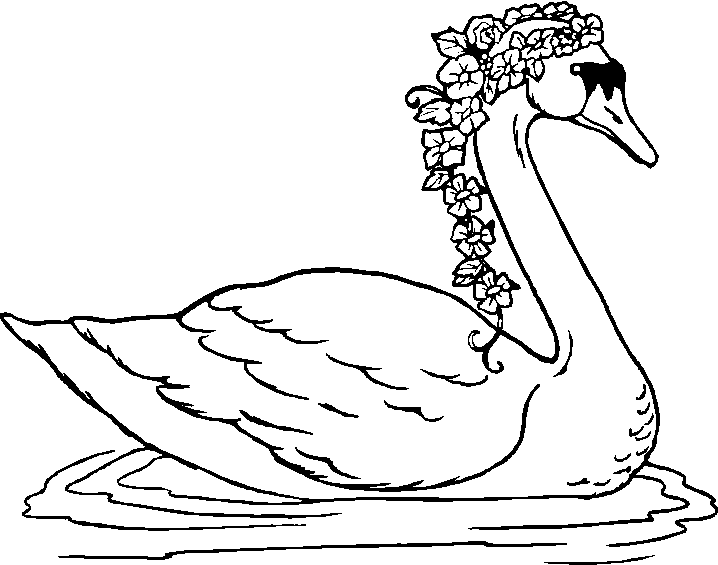 desenhos para colorir lago dos cisnes