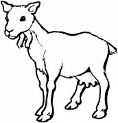 desenhos para pintar cabra