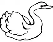 desenhos pintar cisnes