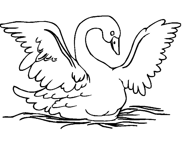 imagem de cisne para colorir