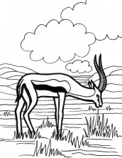 imagens de antilope para colorir