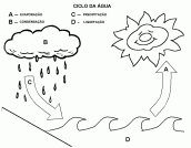 ciclo da agua para colorir