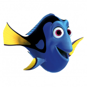 02 procurando a dory a