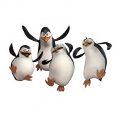 05 pinguins de madagascar