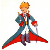 08 pequeno principe