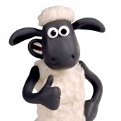 10 shaun o carneiro