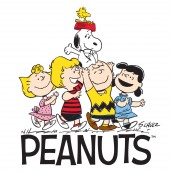 14 peanuts