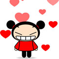 15 pucca
