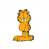 35 garfield