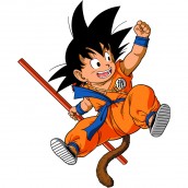 48-dragon-ball