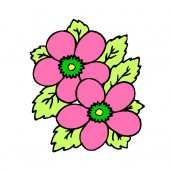 58 flores