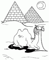 desenho de camelo para colorir