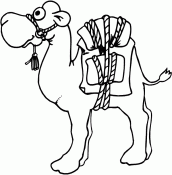 desenhos de camelo para colorir