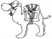 desenhos de camelo para colorir e imprimir