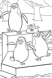 desenhos de pinguins de madagascar para colorir