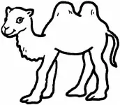 desenhos para colorir camelo