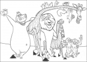 desenhos para colorir do filme madagascar