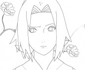 desenhos para colorir naruto sakura