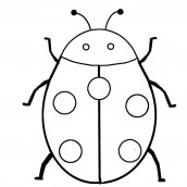 desenhos para colorir sobre insetos